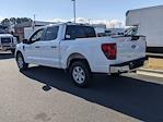 2024 Ford F-150 SuperCrew Cab RWD Pickup for sale #T481500 - photo 6