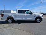 New 2024 Ford F-150 XL SuperCrew Cab Pickup for sale #T481738 - photo 4