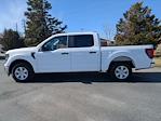New 2024 Ford F-150 XL SuperCrew Cab Pickup for sale #T481738 - photo 7