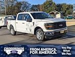 2025 Ford F-150 SuperCrew Cab RWD Pickup for sale #T580085 - photo 1