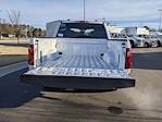 2025 Ford F-150 SuperCrew Cab RWD Pickup for sale #T580085 - photo 32