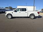 New 2025 Ford F-150 XL SuperCrew Cab Pickup for sale #T580095 - photo 7