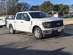 New 2025 Ford F-150 XL SuperCrew Cab Pickup for sale #T580104 - photo 3