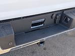 2025 Ford F-150 SuperCrew Cab RWD Pickup for sale #T580105 - photo 31