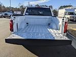 2025 Ford F-150 SuperCrew Cab RWD Pickup for sale #T580106 - photo 32