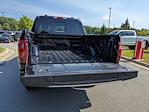 New 2025 Ford F-150 XLT SuperCrew Cab 4WD Pickup for sale #T580223 - photo 34