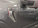 New 2025 Ford F-150 Platinum SuperCrew Cab 4WD Pickup for sale #T580240 - photo 10