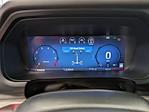 New 2025 Ford F-150 Platinum SuperCrew Cab 4WD Pickup for sale #T580240 - photo 19