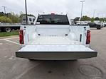 2025 Ford F-150 SuperCrew Cab 4WD Pickup for sale #T580268 - photo 33