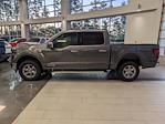 2025 Ford F-150 SuperCrew Cab 4WD Pickup for sale #T580293 - photo 7