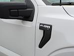 2025 Ford F-150 Regular Cab RWD Pickup for sale #T580312 - photo 12