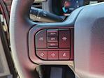 2025 Ford F-150 SuperCrew Cab 4WD Pickup for sale #T580352 - photo 19