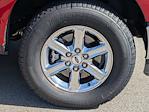 2025 Ford F-150 SuperCrew Cab 4WD Pickup for sale #T580385 - photo 10