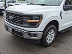2025 Ford F-150 SuperCrew Cab 4WD Pickup for sale #T580527 - photo 9