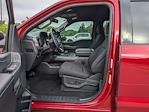 New 2025 Ford F-150 XLT SuperCrew Cab 4WD Pickup for sale #T580612 - photo 13