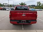 New 2025 Ford F-150 XLT SuperCrew Cab 4WD Pickup for sale #T580612 - photo 5
