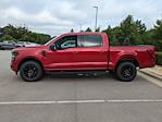 New 2025 Ford F-150 XLT SuperCrew Cab 4WD Pickup for sale #T580612 - photo 7