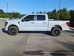 New 2025 Ford F-150 STX SuperCrew Cab 4WD Pickup for sale #T580682 - photo 7