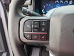 2025 Ford F-150 SuperCrew Cab 4WD Pickup for sale #T580683 - photo 19