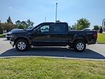 New 2025 Ford F-150 XL SuperCrew Cab 4WD Pickup for sale #T580748 - photo 7