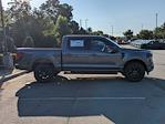 New 2025 Ford F-150 XLT SuperCrew Cab 4WD Pickup for sale #T580893 - photo 4