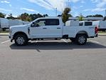 New 2025 Ford F-350 XLT Crew Cab 4WD SRW Pickup for sale #T580942 - photo 7