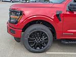 New 2025 Ford F-150 XLT SuperCrew Cab 4WD Pickup for sale #T581014 - photo 11