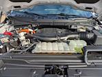 2023 Ford F-150 SuperCrew Cab 4WD Pickup for sale #T581015A - photo 44