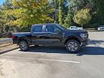 New 2025 Ford F-150 STX SuperCrew Cab 4WD Pickup for sale #T581082 - photo 3
