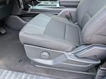 New 2025 Ford F-150 STX SuperCrew Cab 4WD Pickup for sale #T581087 - photo 12