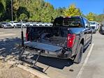 New 2025 Ford F-150 XLT SuperCrew Cab 4WD Pickup for sale #T581160 - photo 35