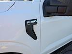 New 2025 Ford F-150 XL SuperCrew Cab 4WD Pickup for sale #T581196 - photo 12