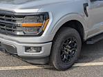 New 2025 Ford F-150 XLT SuperCrew Cab 4WD Pickup for sale #T581236 - photo 9