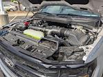 New 2025 Ford F-150 XLT SuperCrew Cab 4WD Pickup for sale #T581236 - photo 41