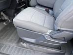 New 2025 Ford F-150 XL Regular Cab 4WD Pickup for sale #T581246 - photo 13