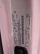 New 2025 Ford F-150 XL Regular Cab Pickup for sale #T581255 - photo 32