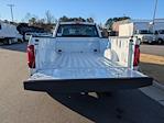 New 2025 Ford F-150 XL Regular Cab for sale #T581274 - photo 29