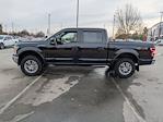 2019 Ford F-150 SuperCrew Cab 4WD Pickup for sale #T581301A - photo 6