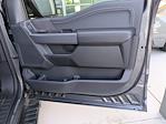 New 2025 Ford F-150 XLT SuperCrew Cab for sale #T581340 - photo 31