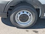 New 2026 Ford Transit 150 Low Roof Empty Cargo Van for sale #T660089 - photo 10