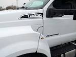 Used 2025 Ford F-650 Regular Cab Landscape Dump for sale #T680094A - photo 10