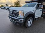 New 2026 Ford F-450 Regular Cab 4WD 12' PJ's Steel Dump Truck for sale #T680179 - photo 8
