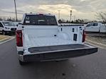 New 2026 Ford F-150 XLT SuperCrew Cab for sale #T680234 - photo 34