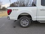 New 2026 Ford F-150 XLT SuperCrew Cab for sale #T680234 - photo 37