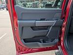 New 2026 Ford F-150 XLT SuperCrew Cab for sale #T680291 - photo 29