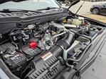 2024 Ford F-250 Crew Cab 4WD Pickup for sale #T680303B - photo 44