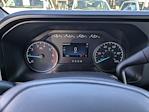 New 2026 Ford F-250 XL Crew Cab for sale #T680326 - photo 19