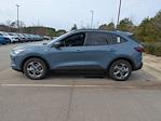 New 2026 Ford Escape ST-Line for sale #U670132 - photo 7