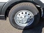 New 2025 Ford Transit 250 Low Roof Empty Cargo Van for sale #1250973 - photo 16