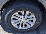 2025 Ford F-150 SuperCrew Cab 4x2 Pickup for sale #J250579 - photo 7